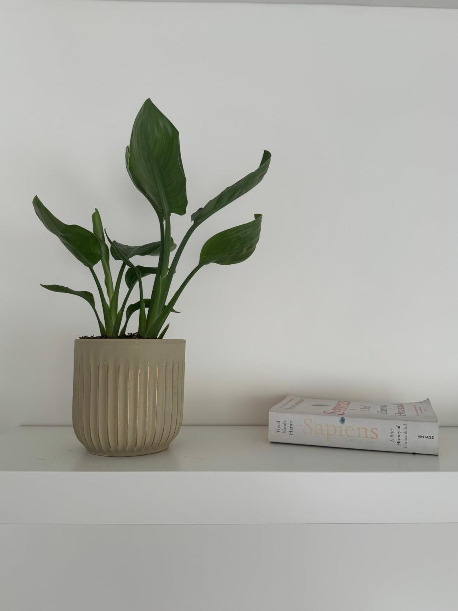 Cosy, Proche Stade De France Apartment